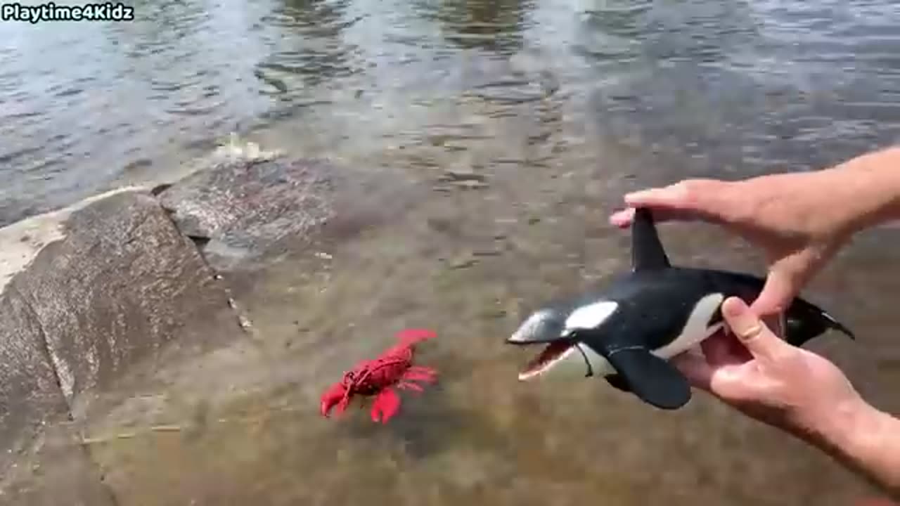 Sea animal toys