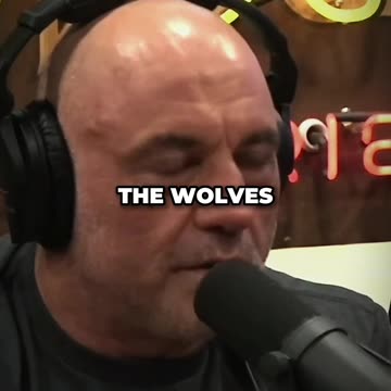 How A Pack Of Man-Eating Wolves Stopped WW1