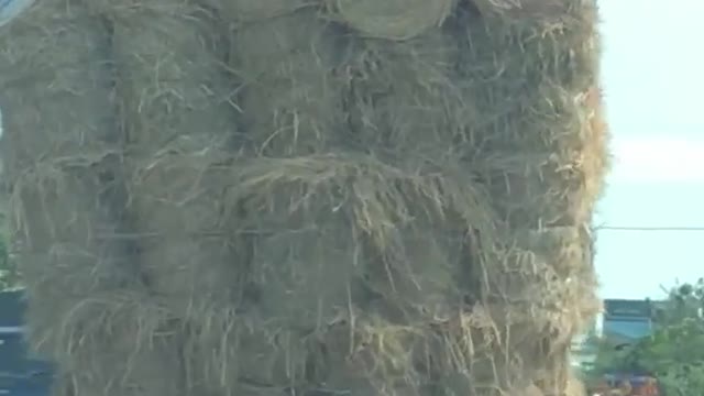 Overloaded Truck Hauling Hay