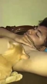 Wtf Moment | Funny cats