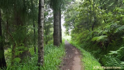 Natures Inner-Standing