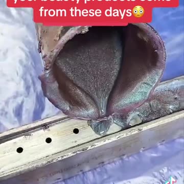 ️🚨🔥🔥🚨 How beauty products are made...