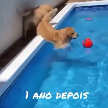 You have to get in the water ... You have to ️If you