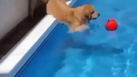 You have to get in the water ... You have to ️If you