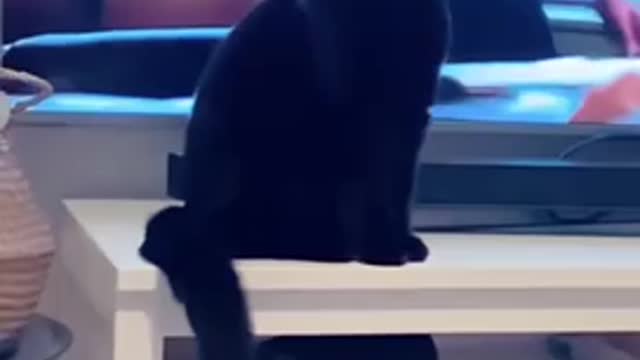 👾