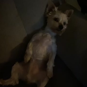 Just hanging out while mommy works