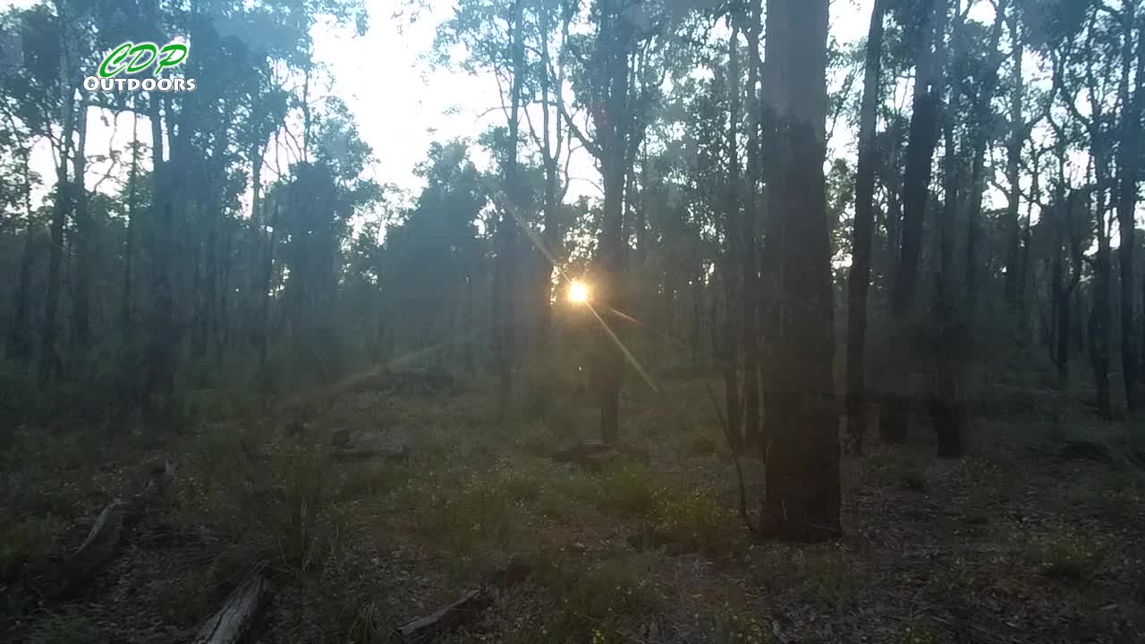 Bibbulmun track part 12 Nerang To Gringer Creek