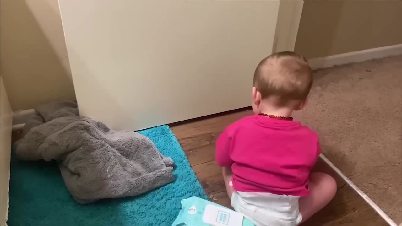 Funny Baby and Pets