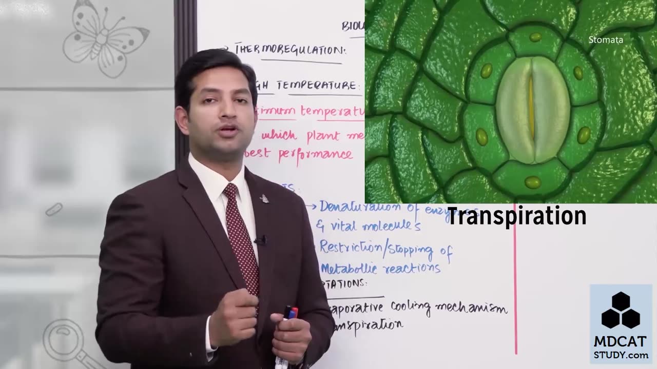 LEC#13 THERMOREGULATION IN PLANTS