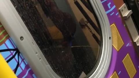 Guy peeing between moving train on subway train
