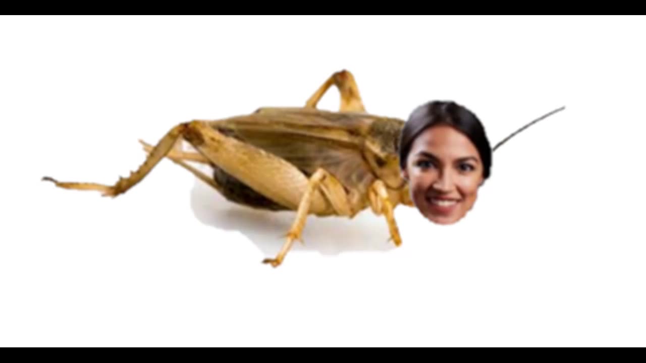 AOC?