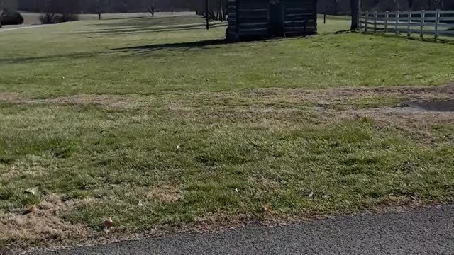 Rippavilla Plantation from the 1850's and the Battle near by.