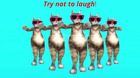 Cats are dancing in a funny way | Try not to laugh | 🤣😂😅
