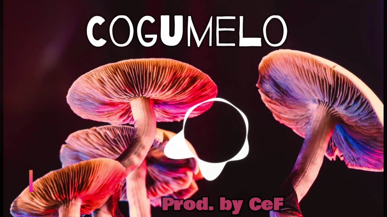 [free] kizomba Type Beat - "Cogumelo" | CeF | 2024