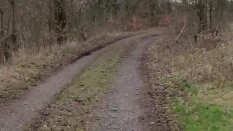 Lebenslanges Hausarrest wegen Meinung, Gedankenverbrecher - Julian Assange a the Joke to this