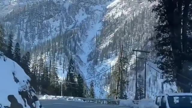 Magnificent road trip