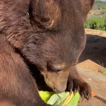 Sierra your so corny