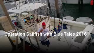 Operation Sailfish in 2016