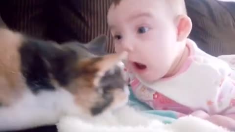 Cat Funny with Baby