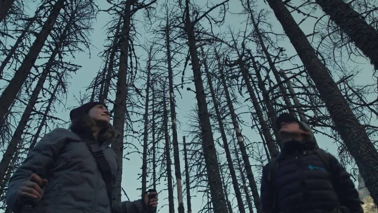 Couple of hikers admiring the landscape