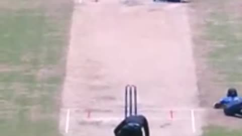 Cricket Funny movement