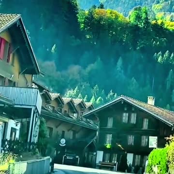 nice green harbor scenary