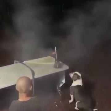 Dog reaction of fire Cracker Funny video Viral video Funny meme Whatsapp status Viral file_360p