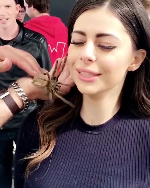 Mujer enfrenta su miedo más grande dejando que una tarántula camine sobre su rostro