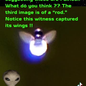 Witness captured Fairies on his cam ?? 3rd image is a ‘Rod’ !!
