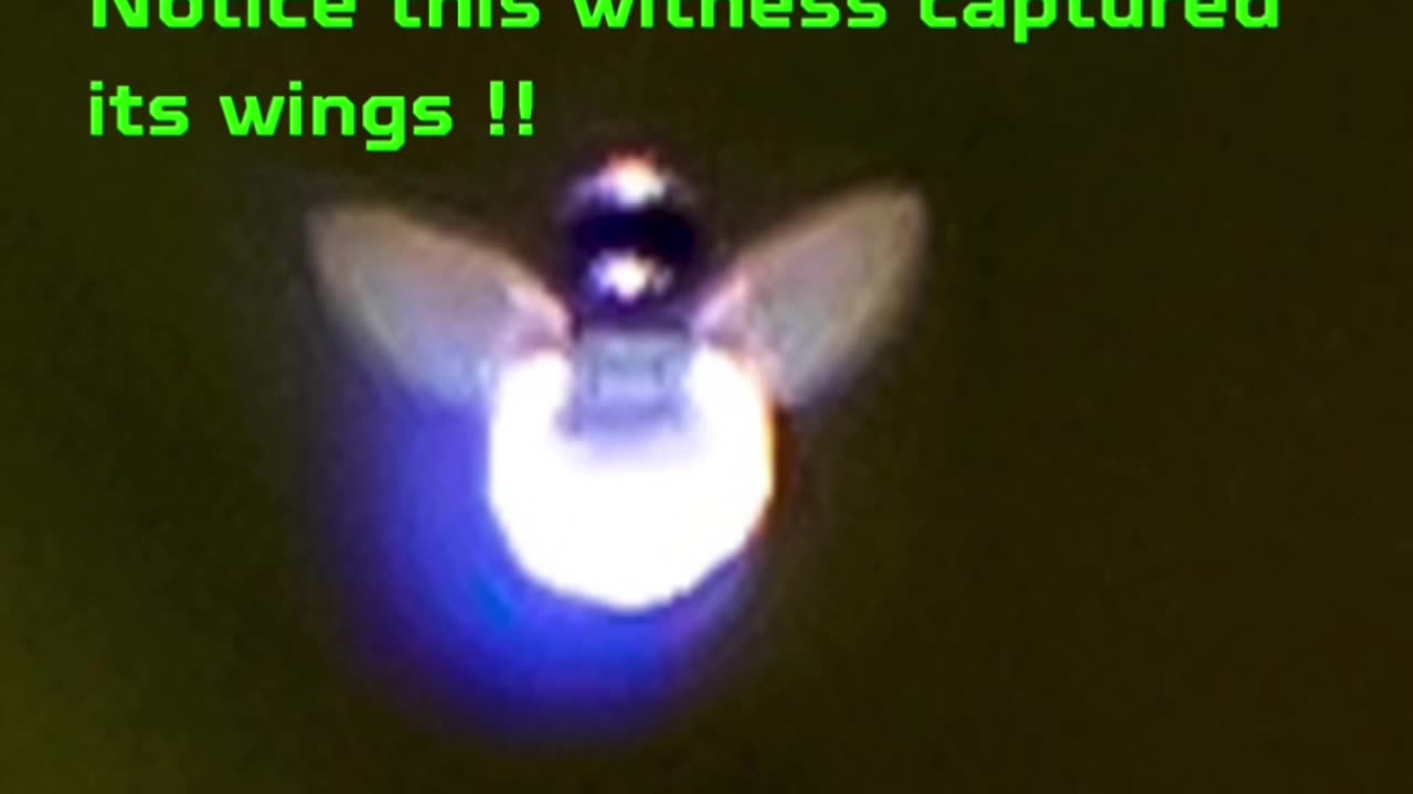 Witness captured Fairies on his cam ?? 3rd image is a ‘Rod’ !!