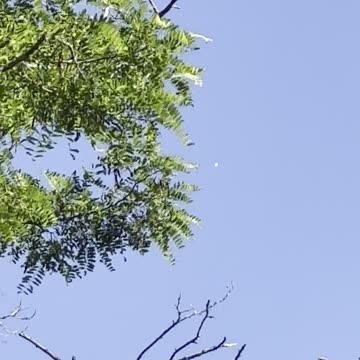 UFO Sighting Boise, ID, The UFO turned towards a neighborhood and continued to observe