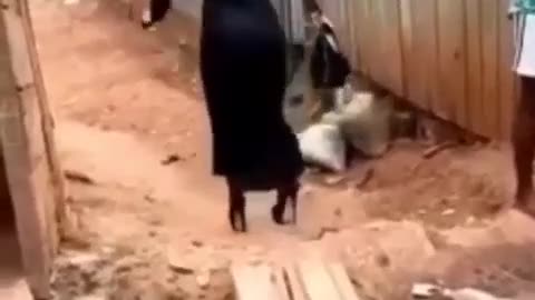 Funny Video High heels