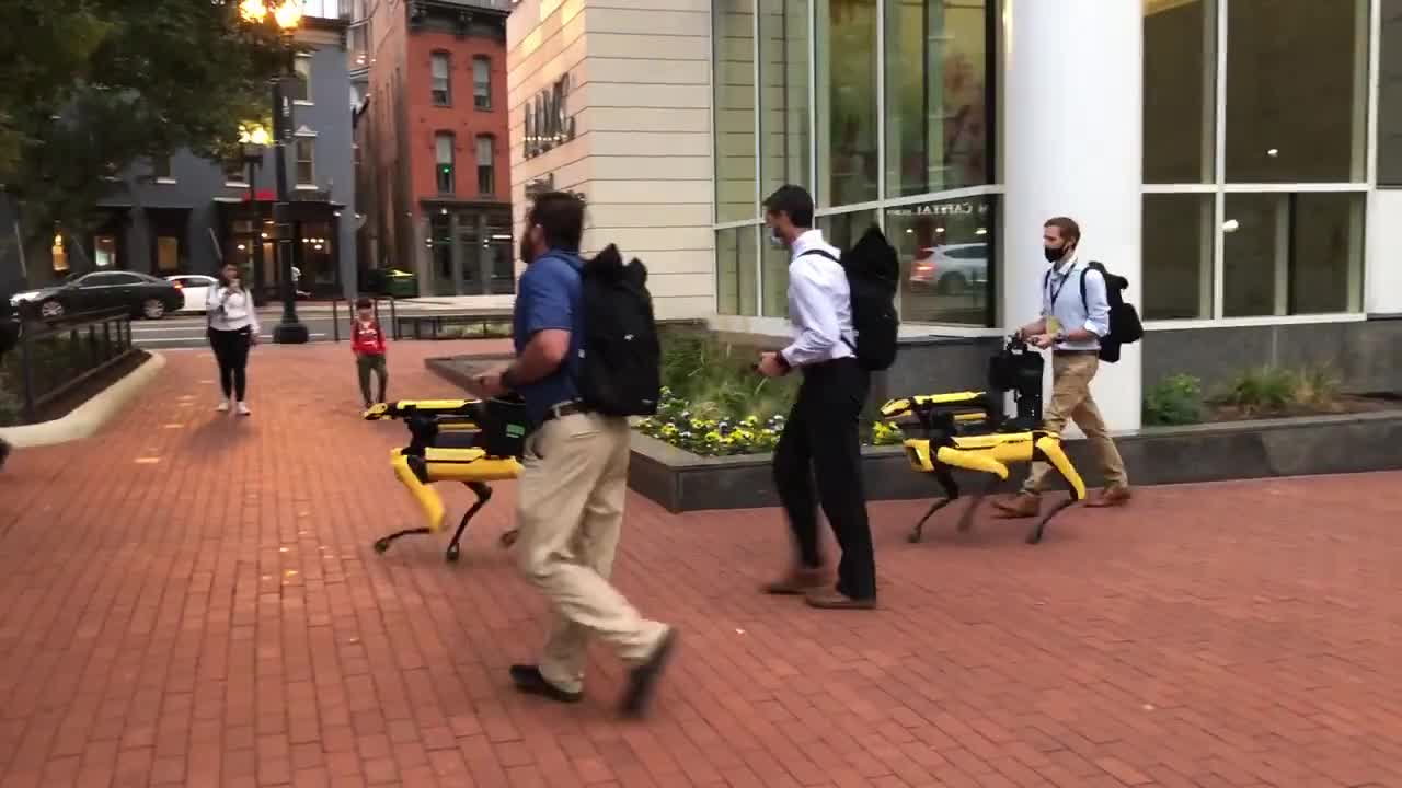 Boston Dynamics walking their "dogs" in DC