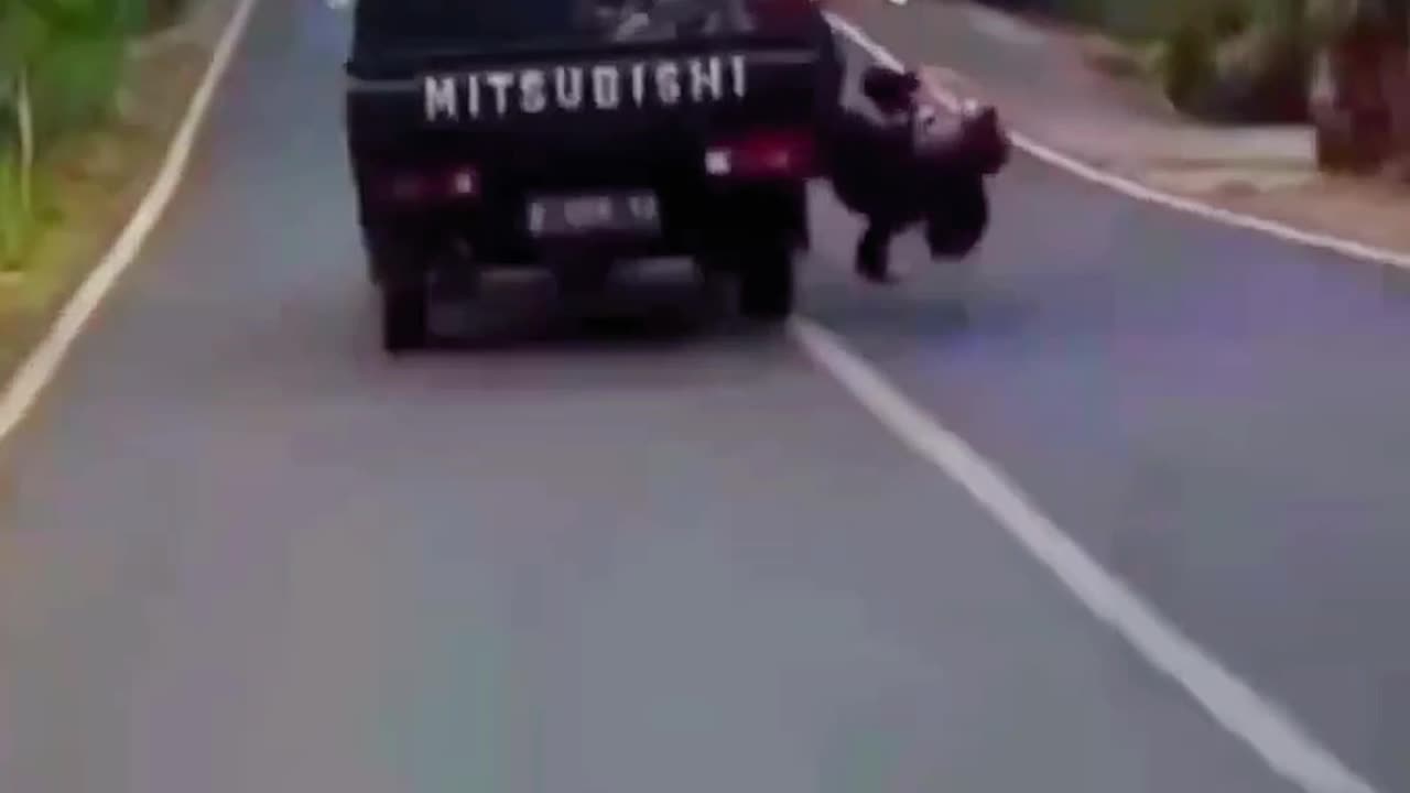 Accident video 🤯