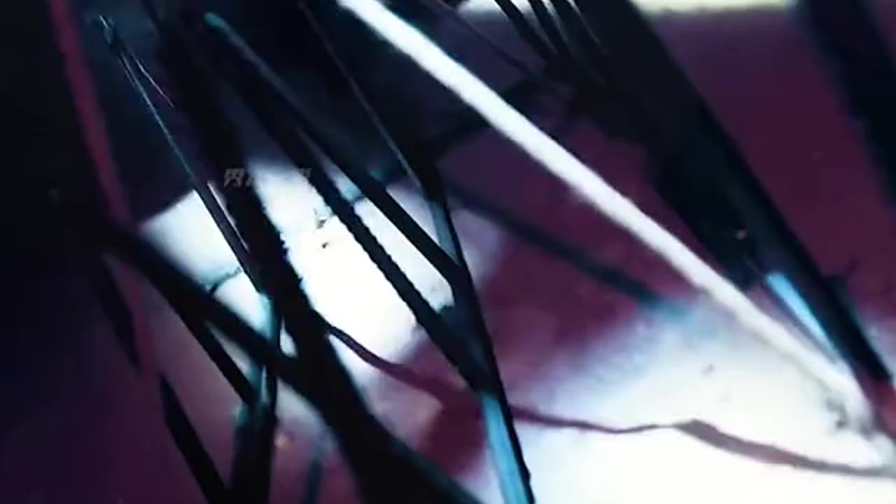 First blood