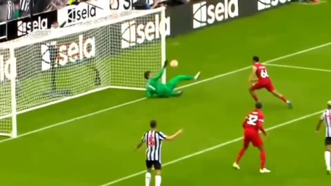 Incredible Goalkeeper Saves🤯
