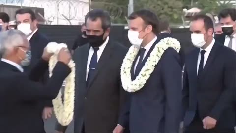 Comical Number of Leis