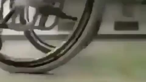 wrong stall
