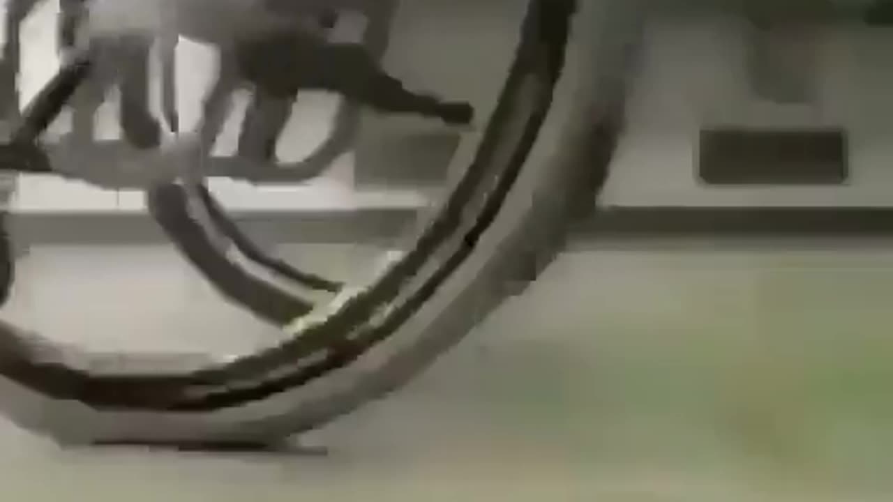 wrong stall
