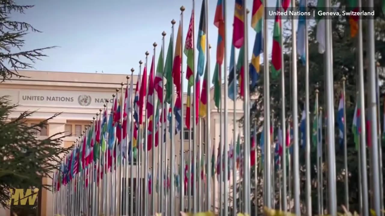 The Global Empire Being Built in Geneva: Del Bigtree on The Highwire