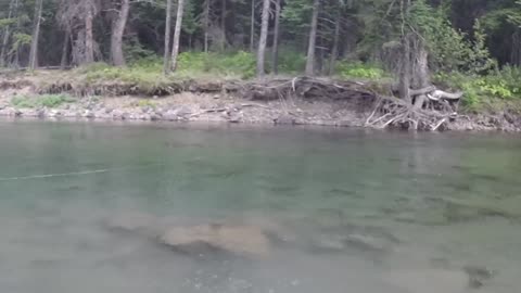 GoPro Fly Fishing