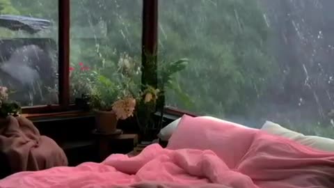 Best Rain View V4