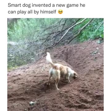 play with yourself have some fun