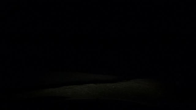 Intro to a night drive with the go pro