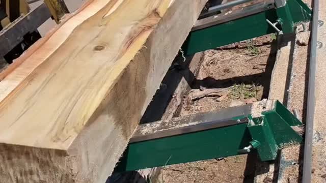 Cutting planks on a sunny day