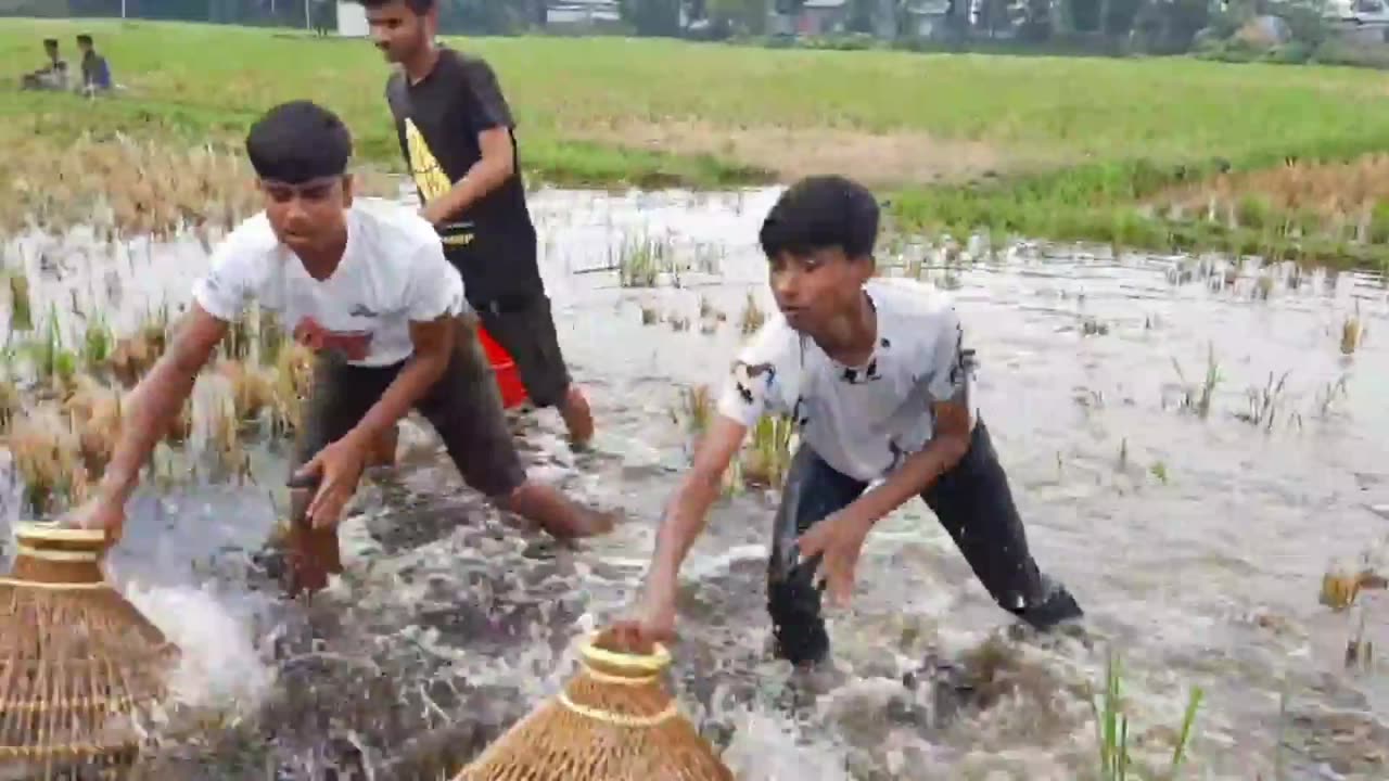 Small boys amazing groupe fishing video! Traditional boys catching big fish by polo!