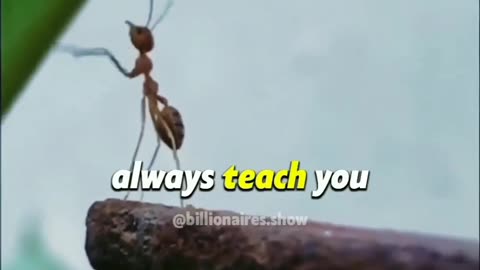Motivational video