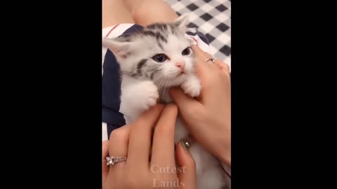 omg! So Cute Pets ♥️ cute baby animal