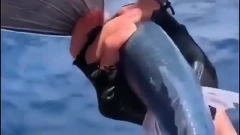 This is a beautiful and charming water-dwelling species