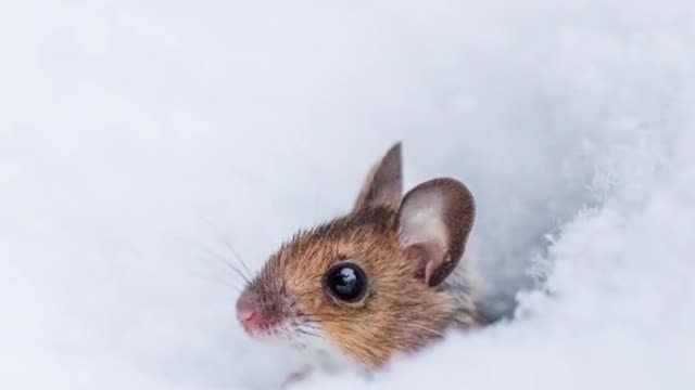 Cute moments caught on camera